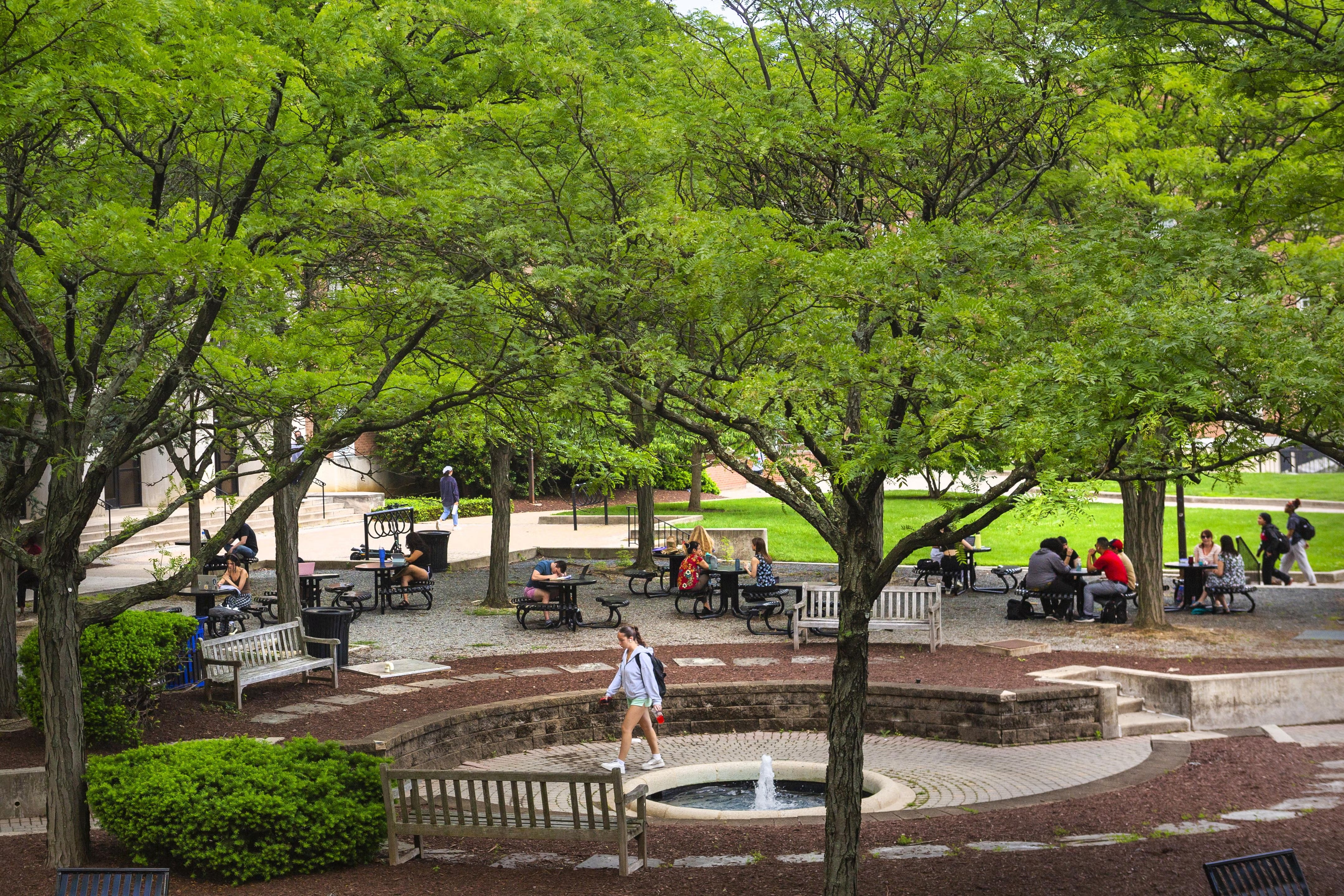 Students work outside in Hornbake Plaza, shaded by a canopy of trees.