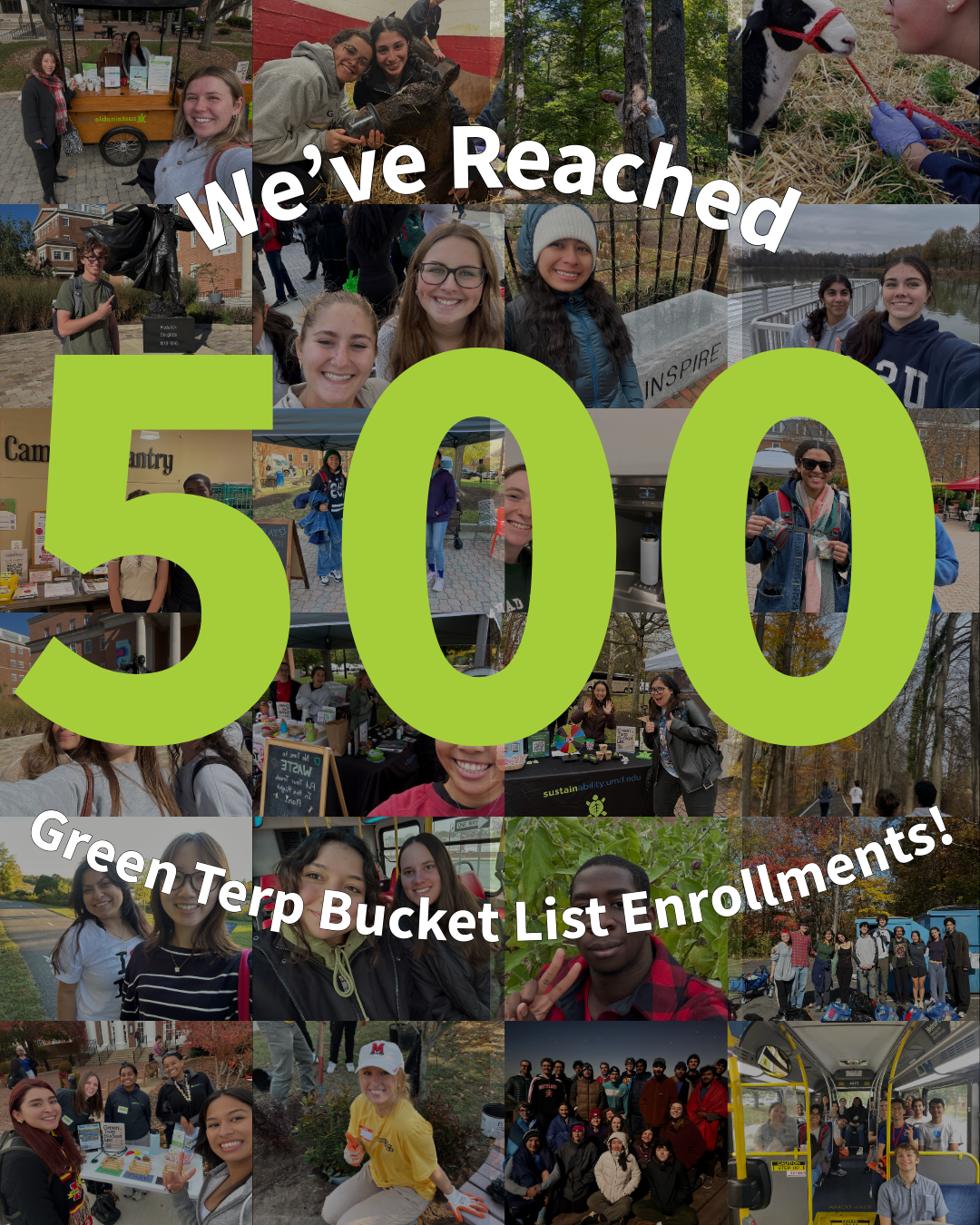 We've Reached 500 Green Terp Bucket List Enrollments