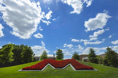 Summer day at UMD
