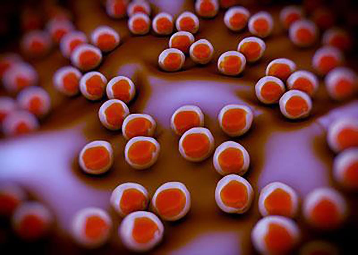 Biological Safety