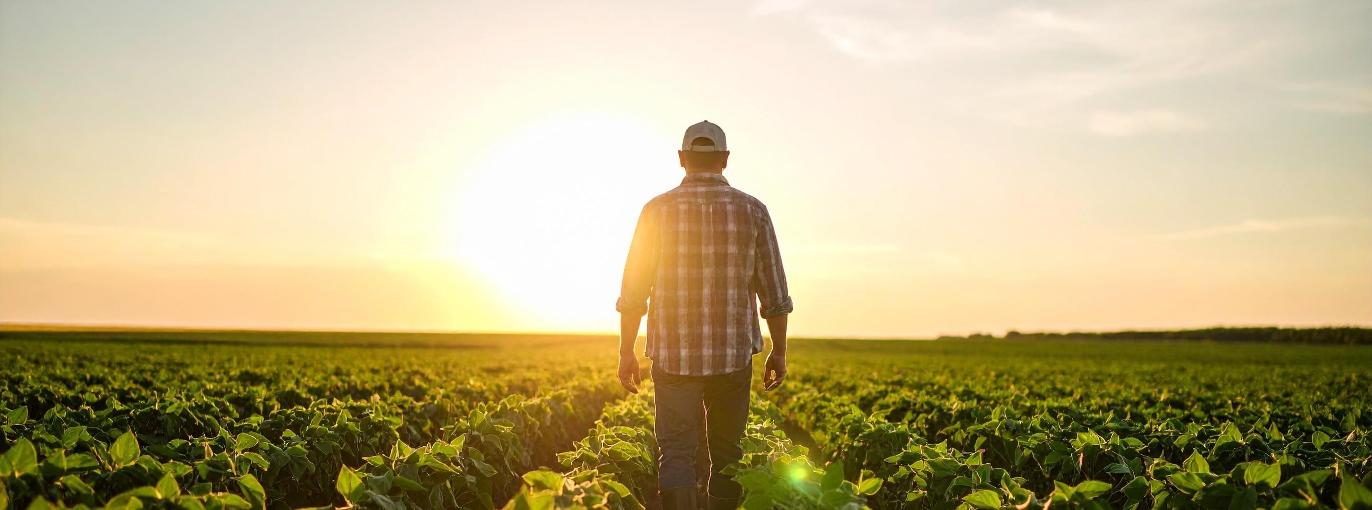 Farm worker in the heat