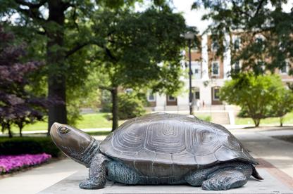 Testudo from the side  credit to John T. Consoli/University of Maryland