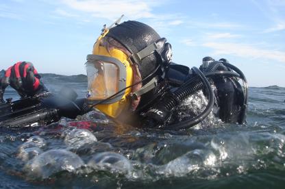 Diver Surfaces