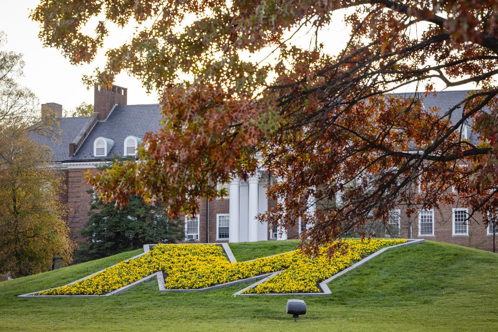 UMD M during Autumn